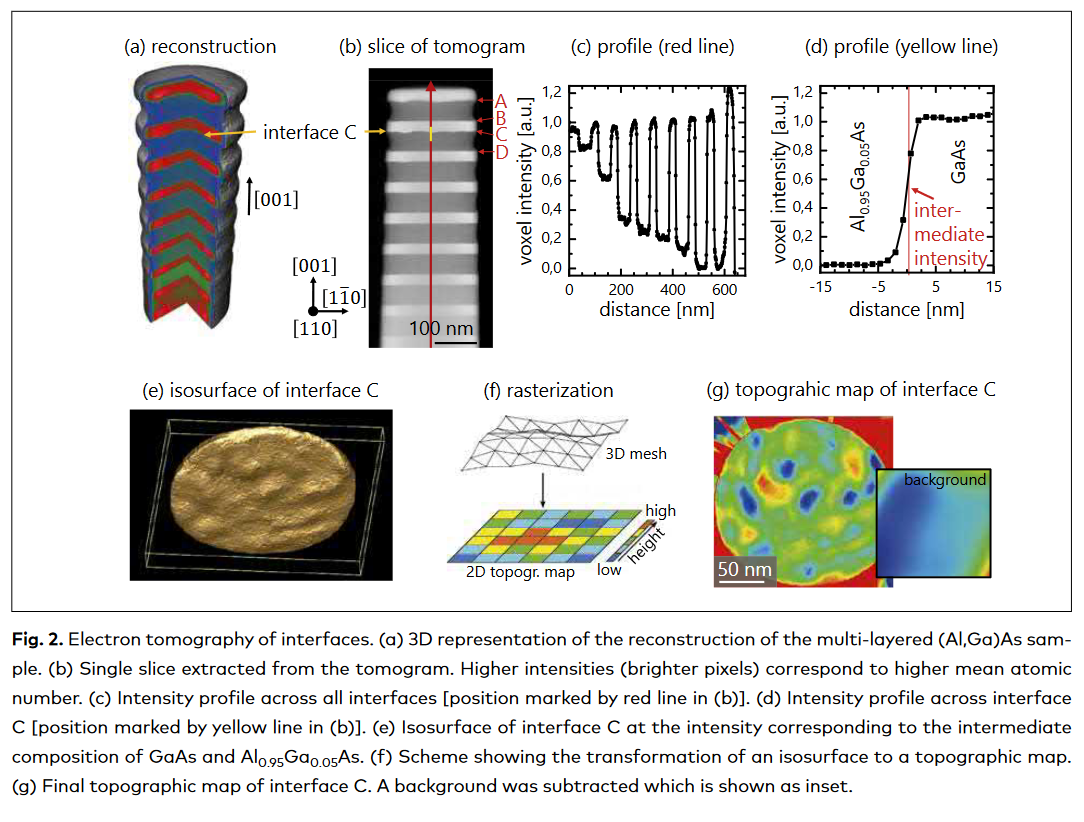 stem micrographs